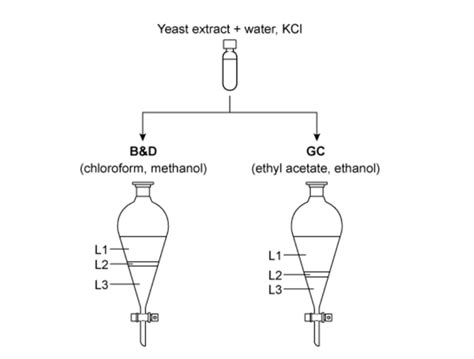 water drop test for aqueous and organic layer|bottom aqueous layer extraction procedure.